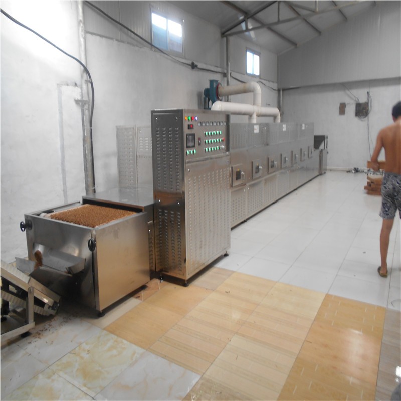 Tenebrio molitor microwave drying equipment