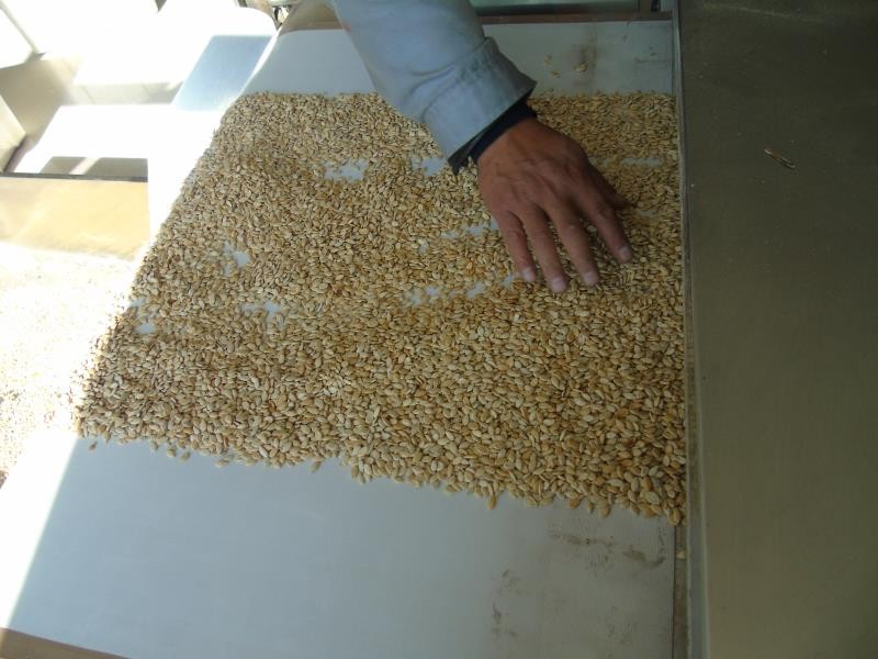 日產10T速煮燕麥片生產線方案