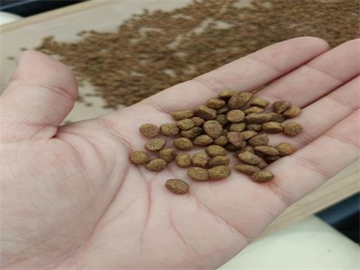 寵物食品微波烘干殺菌機 貓糧干燥滅菌設備 