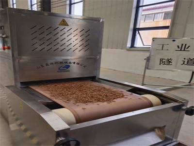 全自動黑水虻微波烘干設備 活體蟲子干燥膨化機