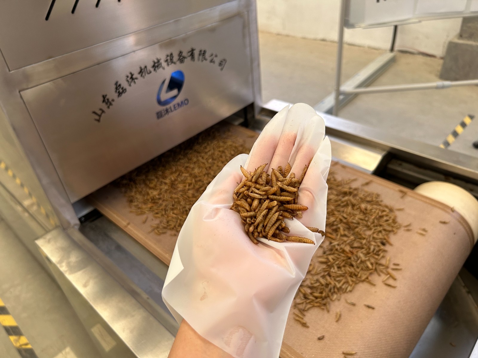 環保型黑水虻微波烘干隧道爐