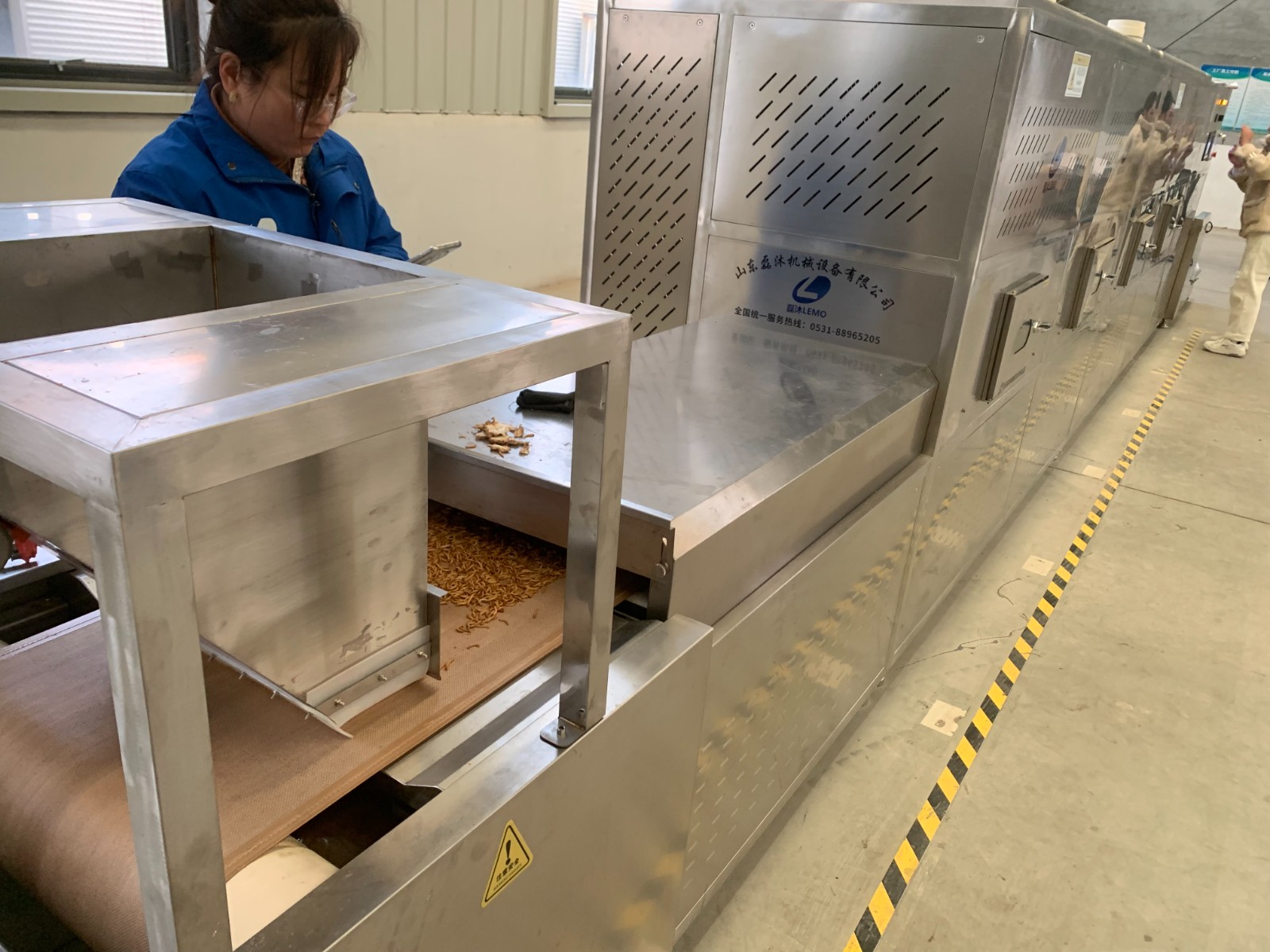 黃粉蟲微波烘干機解決了活蟲布料難題 可實現自動均勻布料