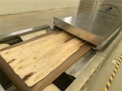 微波烘干技術在木材干燥領域中的應用