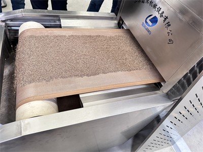 孜然微波干燥設備 調味粉干燥設備中的“愛馬仕”