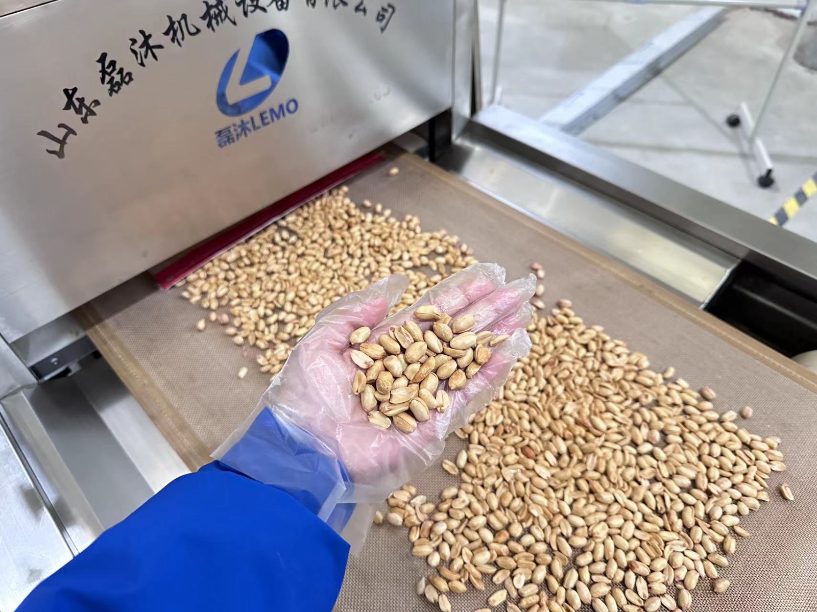 五香花生米微波烘烤設備 5分鐘高效烘烤熟化