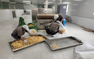 豬皮微波膨化設備 豬蹄脫脂機