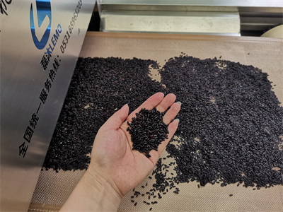 黑米微波熟化設備為黑米加工行業開辟了新的途徑