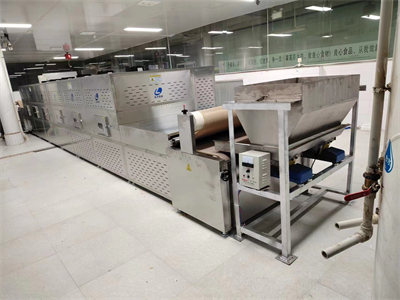 替代傳統油炸工藝的非油炸豬皮微波膨化設備