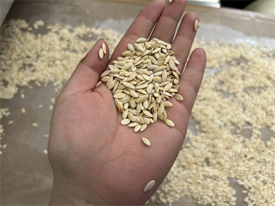 微波設備烘烤黃瓜籽的優勢體現在哪些方面