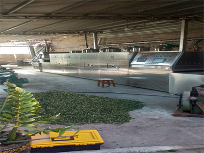 與傳統殺青方式相比茶葉微波殺青隧道爐的優勢有哪些