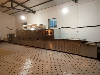 你知道微波設備烤香瓜子與傳統炒鍋加工有哪些區別嗎