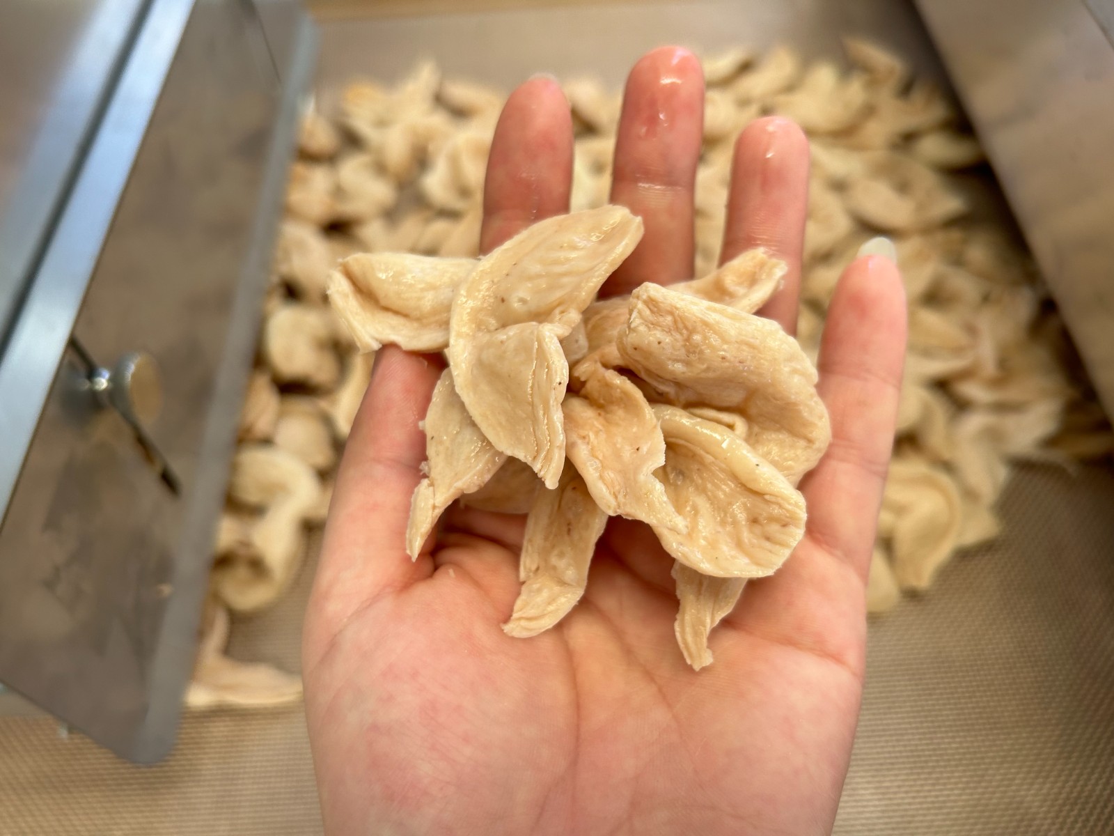 你知道微波隧道爐對豆制品進行連續烘干的作用原理嗎