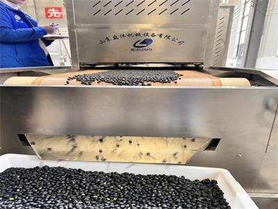 微波設備烘烤出來的黑豆酥脆可口