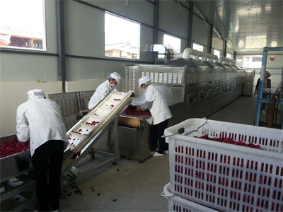 微波烘干隧道爐的出現(xiàn)為花卉產(chǎn)業(yè)帶來了發(fā)展機遇