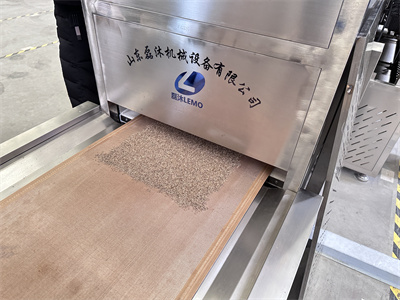 孜然微波烘干設備加工調味料效果到底如何呢