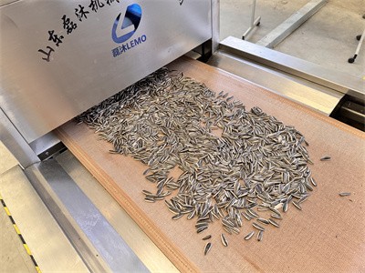 對于瓜子熟化，炒貨機和微波烘烤設備有哪些異同點呢