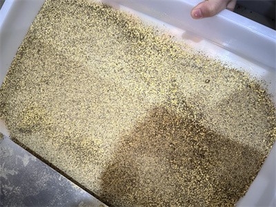 雜糧粉、代餐粉利用微波設(shè)備進(jìn)行干燥殺菌過程