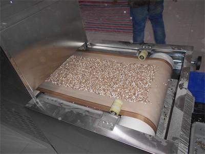 芡實使用微波進行預熟化 大大提高了加工效率