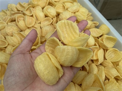 Prawn cracker puffing uses microwave equipment to realize non fried processing