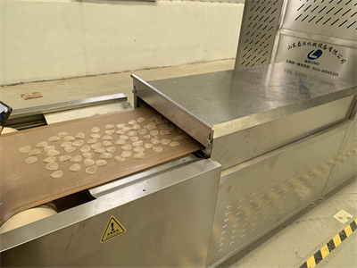 不想吃油膩的蝦片可以考慮非油炸微波膨化隧道爐