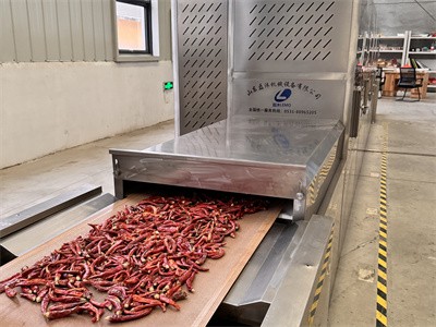 Microwave equipment is used for secondary drying of dried chili peppers