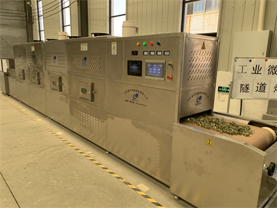 關于艾葉烘干對比傳統烘干方式，微波設備會是不錯的選擇