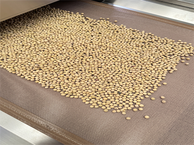 黃豆微波烘烤隧道爐：現代化食品加工設備引領行業變革