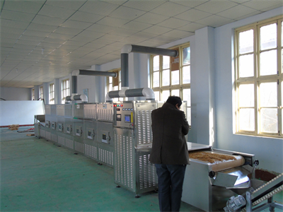 關于黃粉蟲烘干選擇微波隧道爐來解決烘干問題