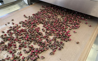 Flower tea can be dried using microwave equipment
