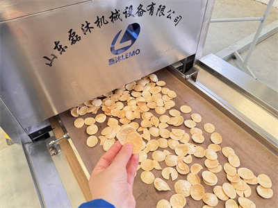 微波膨化設備正在書寫蝦片加工行業(yè)的新篇章
