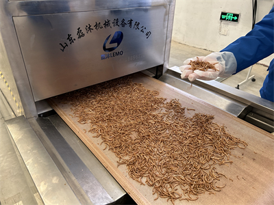 黃粉蟲微波烘干設(shè)備解決了傳統(tǒng)烘干方法存在的諸多問題