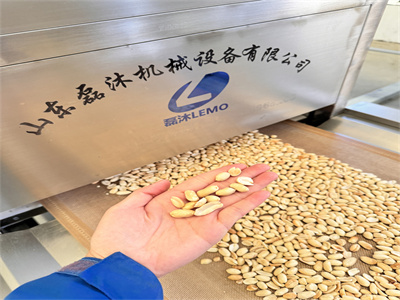 從多個維度詳細分析隧道式花生米微波烘烤設備的優勢