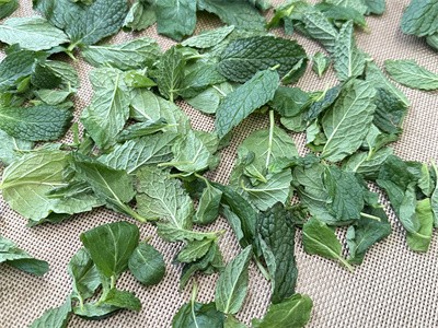 What are the drying methods for mint leaves