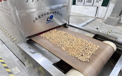 The processing process of microwave tunnel oven roasting peanuts
