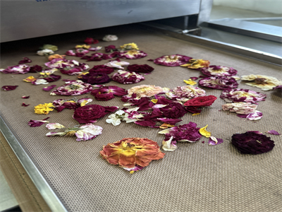 微波烘干隧道爐解決了鮮花保存的傳統(tǒng)難題