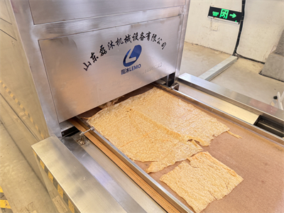 微波設(shè)備在豆皮生產(chǎn)領(lǐng)域的應(yīng)用悄然改變著傳統(tǒng)加工模式