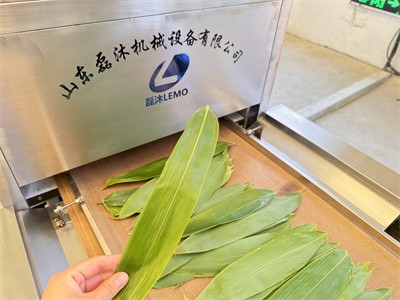 Microwave equipment for drying zongzi leaves