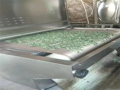 微波殺青設備以其獨特的優勢逐漸取代傳統殺青方式