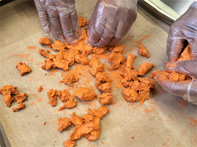 Microwave equipment for drying ceramic raw materials