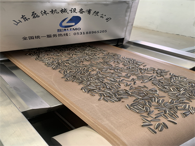 微波設備在瓜子烘烤領域的應用改變傳統的瓜子加工模式