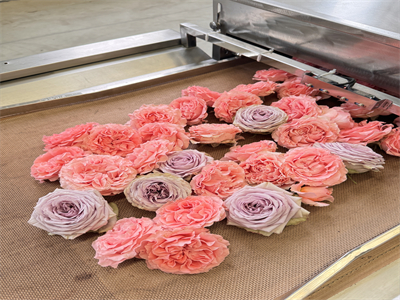 微波烘干設(shè)備的出現(xiàn)，解決了鮮花保存的難題