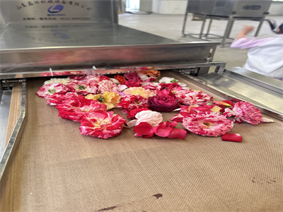 微波烘干設(shè)備的出現(xiàn)，為鮮花保存帶來了革命性的突破