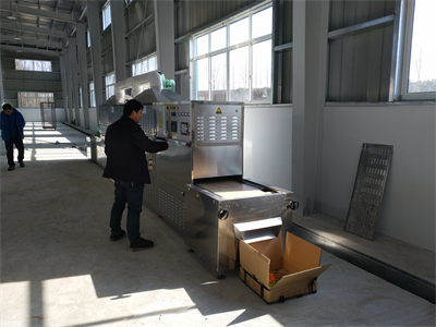 微波烘干隧道爐為黃粉蟲養殖和加工產業帶來革命性的變化