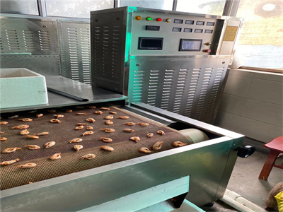 微波烤蝦設(shè)備實現(xiàn)了對鮮蝦的快速、均勻烘烤