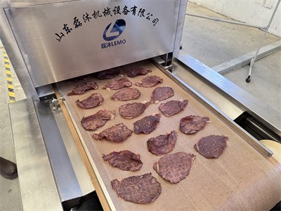 What are the advantages of microwave equipment in drying dried meat
