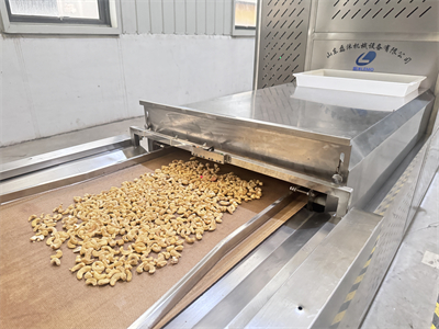 微波烘烤設備正在成為堅果加工領域的主流發展方向