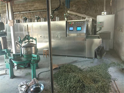 微波殺青隧道爐成為現代茶葉加工的重要設備