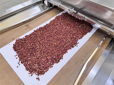 Drying and sterilization of Sichuan peppercorns using microwave equipment