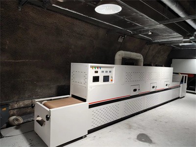 Drying damp insect larvae using microwave equipment