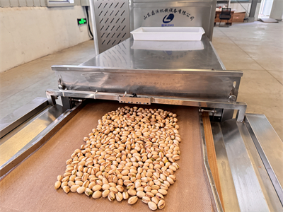 微波烘烤技術(shù)憑借其獨特優(yōu)勢，改變傳統(tǒng)開心果加工的面貌